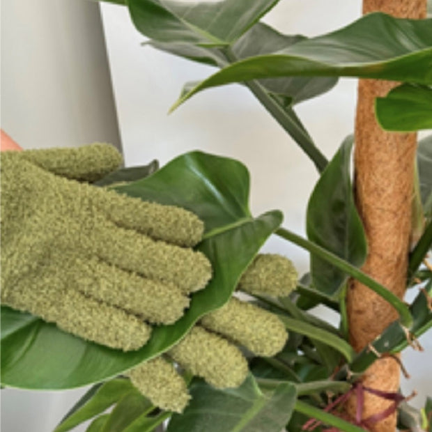 Green Plant Dusting Gloves