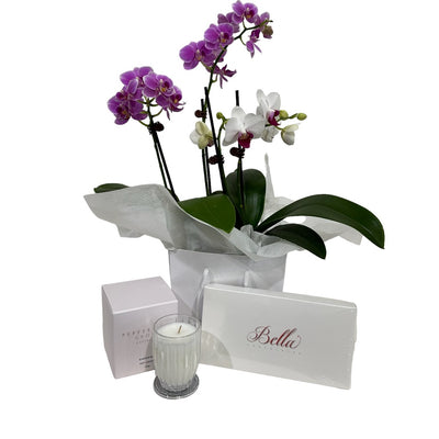 Mini Phalaenopsis Orchid Duo with Candle & Chocolate