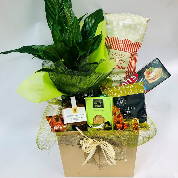 Plant & Snack Gift Box